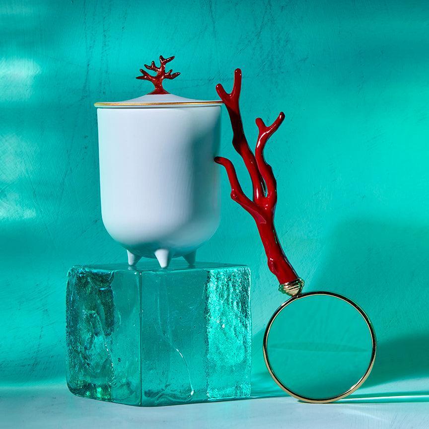 Elegant Coral Scented Candle 2022 - Handmade Soy Wax Candle for Home Decor, Relaxation & Romantic Ambiance