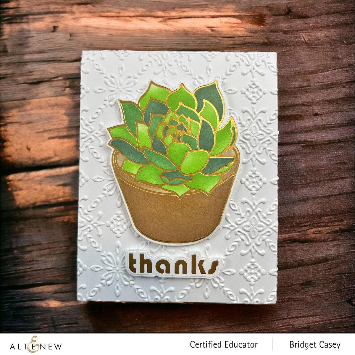 Beautiful Potted Succulent Plants for Home & Office Decor - Low Maintenance Indoor Houseplants for Desk, Shelf, or Gift