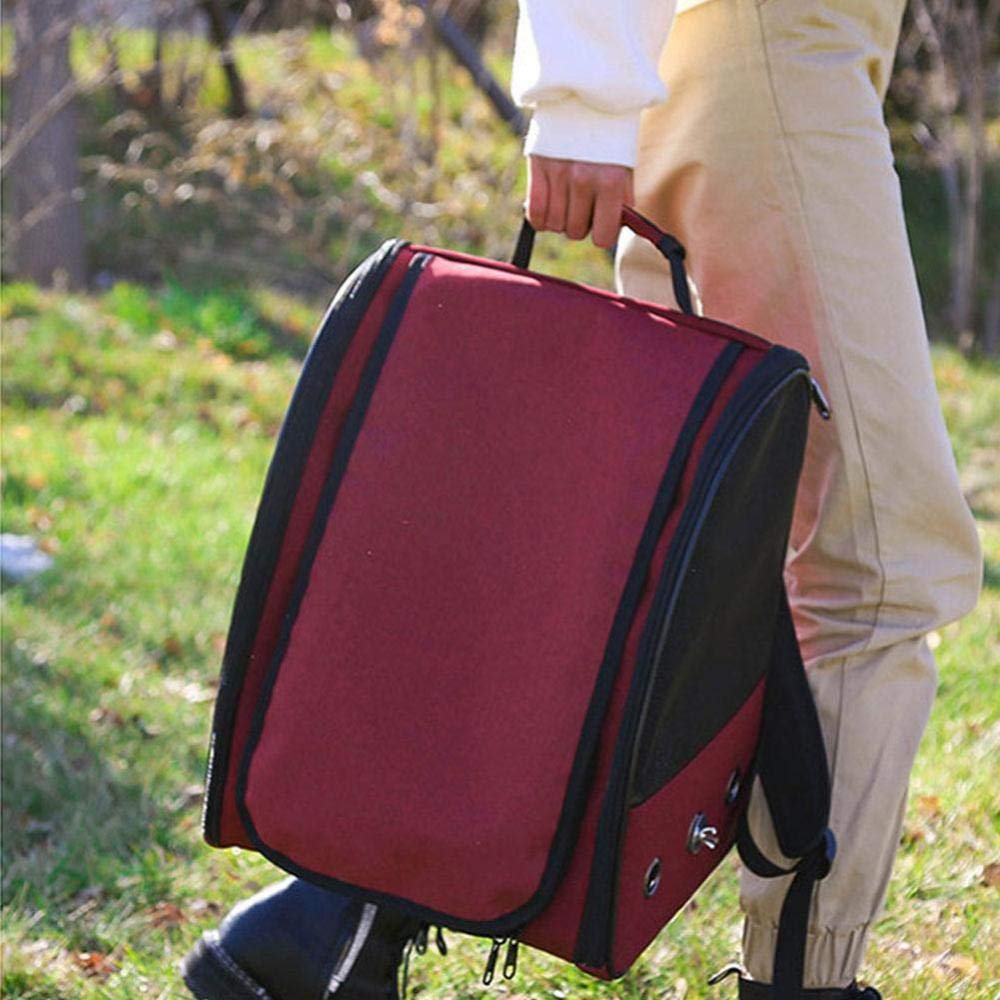 Portable Bird Carrier Backpack - Travel Cage with Perch for Small Birds, Parrots & Crested Birds (2-Pack, Black) - Perfect for Air Travel, Vet Visits & Outdoor Adventures