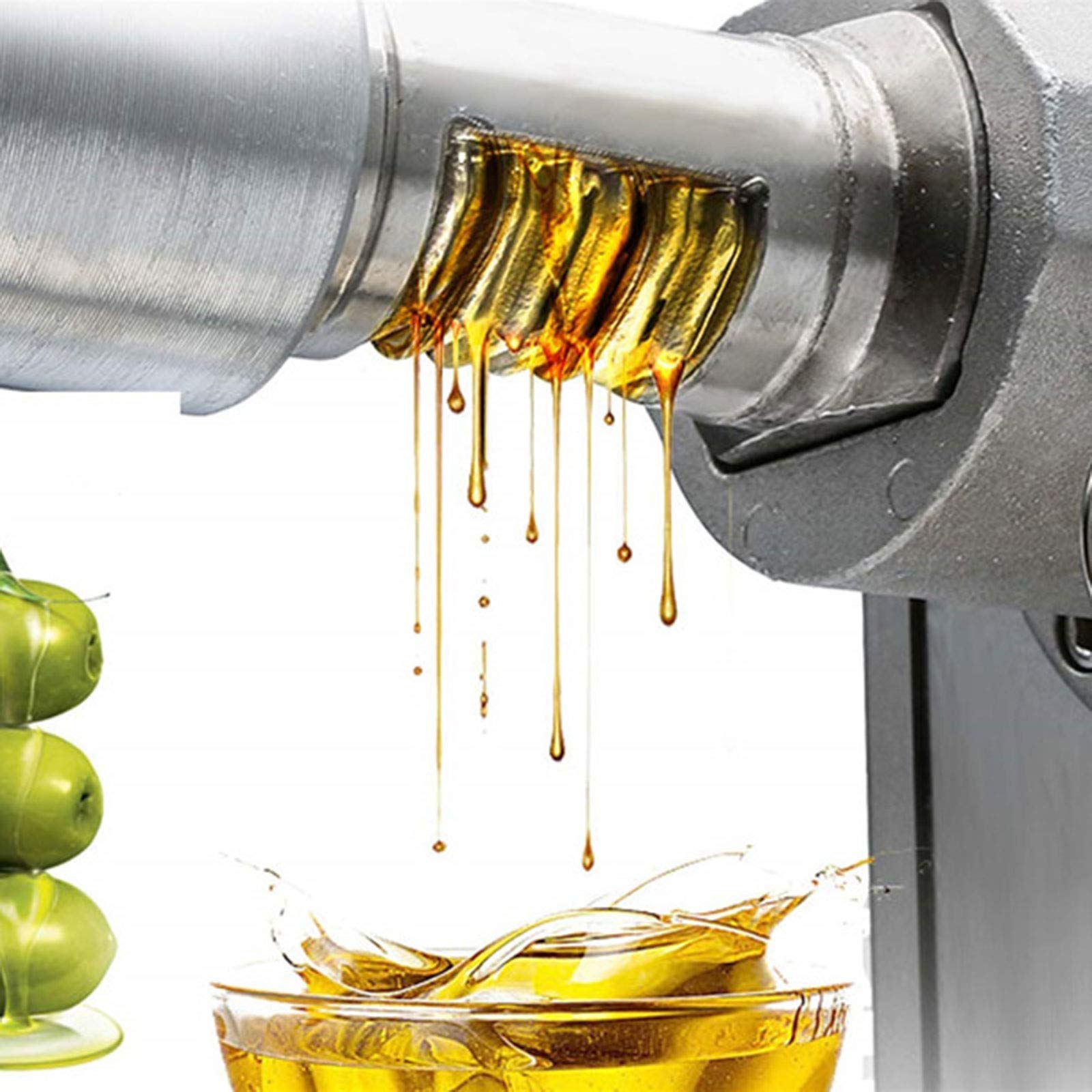 600W Stainless Steel Oil Press Machine for Home & Commercial Use - 304 Stainless Steel Oil Extractor for Olive, Peanut, Almond (110V US Plug) - Perfect for Healthy Cooking, DIY Essential Oils & Small Business Production