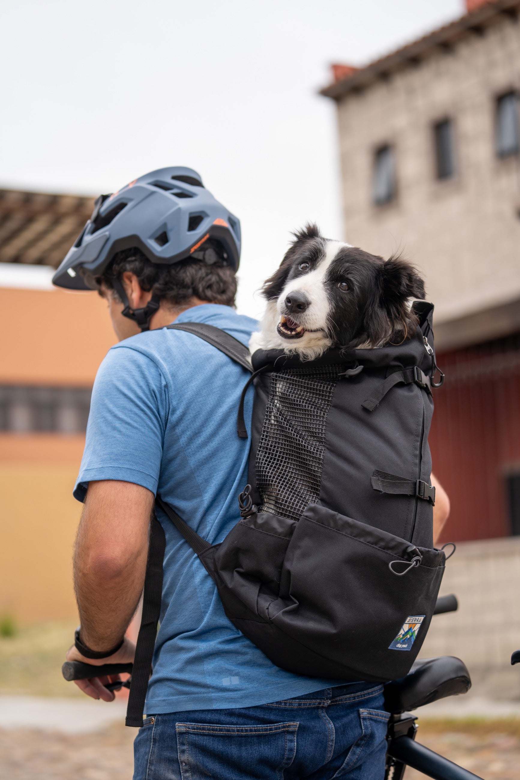 Ultra Lightweight Black Dog Backpack - 4 Sizes for Hiking, Travel & Outdoor Adventures with Your Pet | Sierra Dog Pack