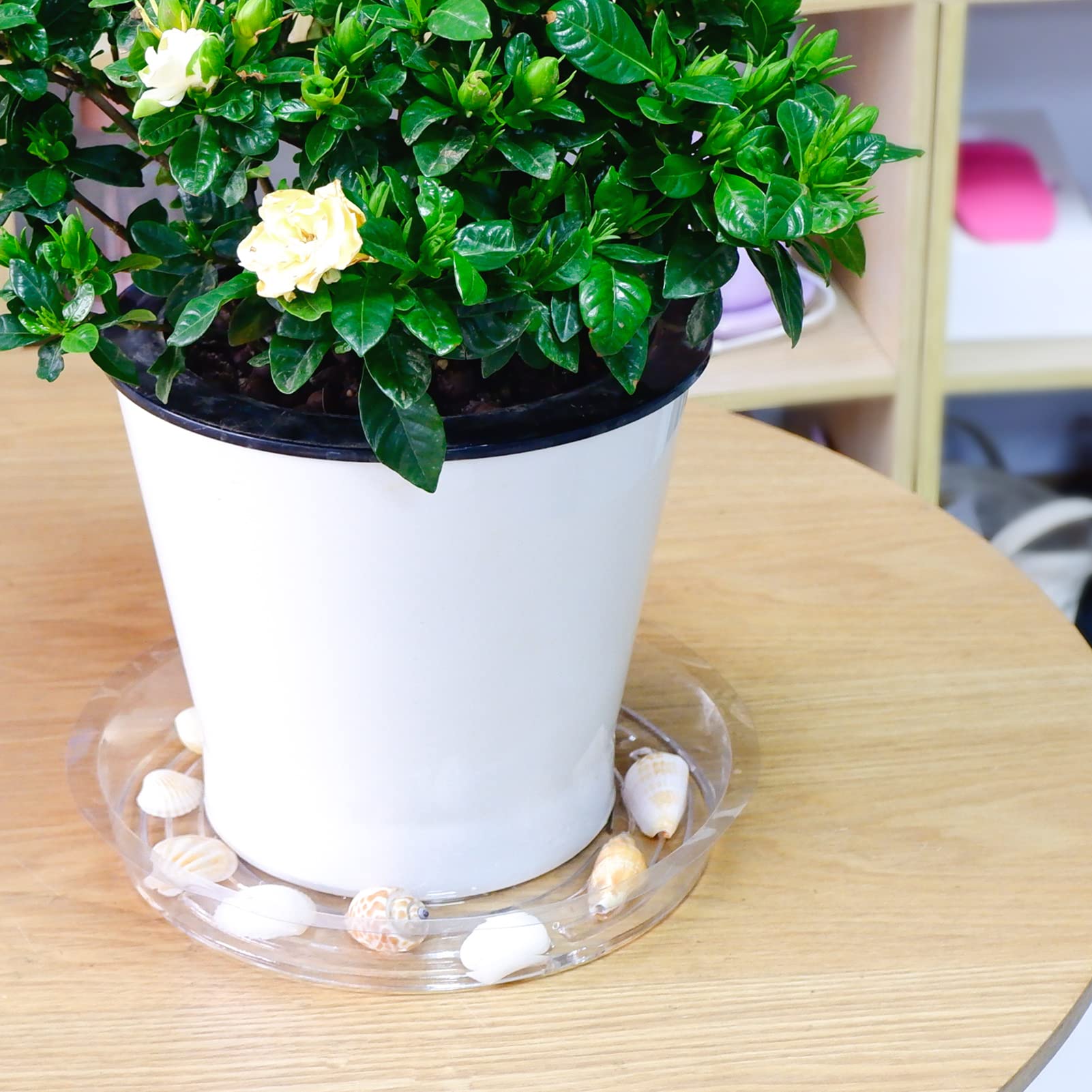 18 Pack Clear Plastic Plant Saucers - 6, 8, 10 Inch Flower Pot Trays for Indoor & Outdoor Plants | Drainage Protection for Potted Plants, Garden, Balcony & Patio Decor