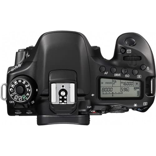 Canon EOS 80D DSLR Camera Body Only (1263C004) - Professional Digital SLR Camera with 64GB Memory Card, Case, Tripod & Accessories Kit - Perfect for Photography, Vlogging & Travel (Renewed)