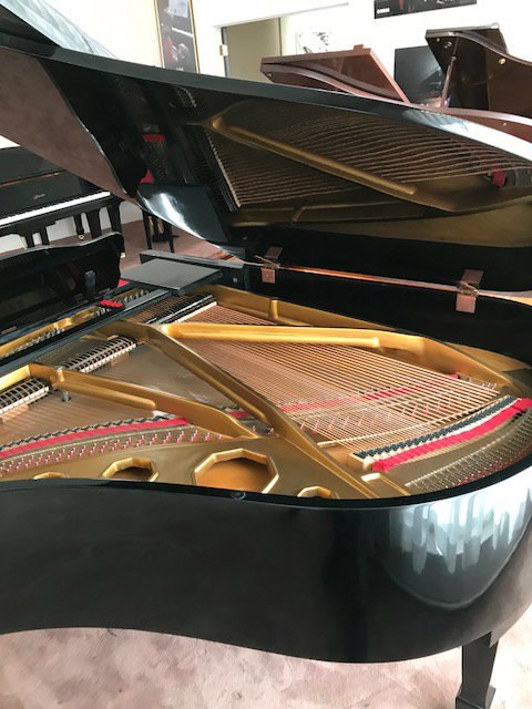 Aeolian Grand Piano - Professional 88-Key Acoustic Piano for Home, Studio & Concert | Perfect for Classical, Jazz & Live Performances