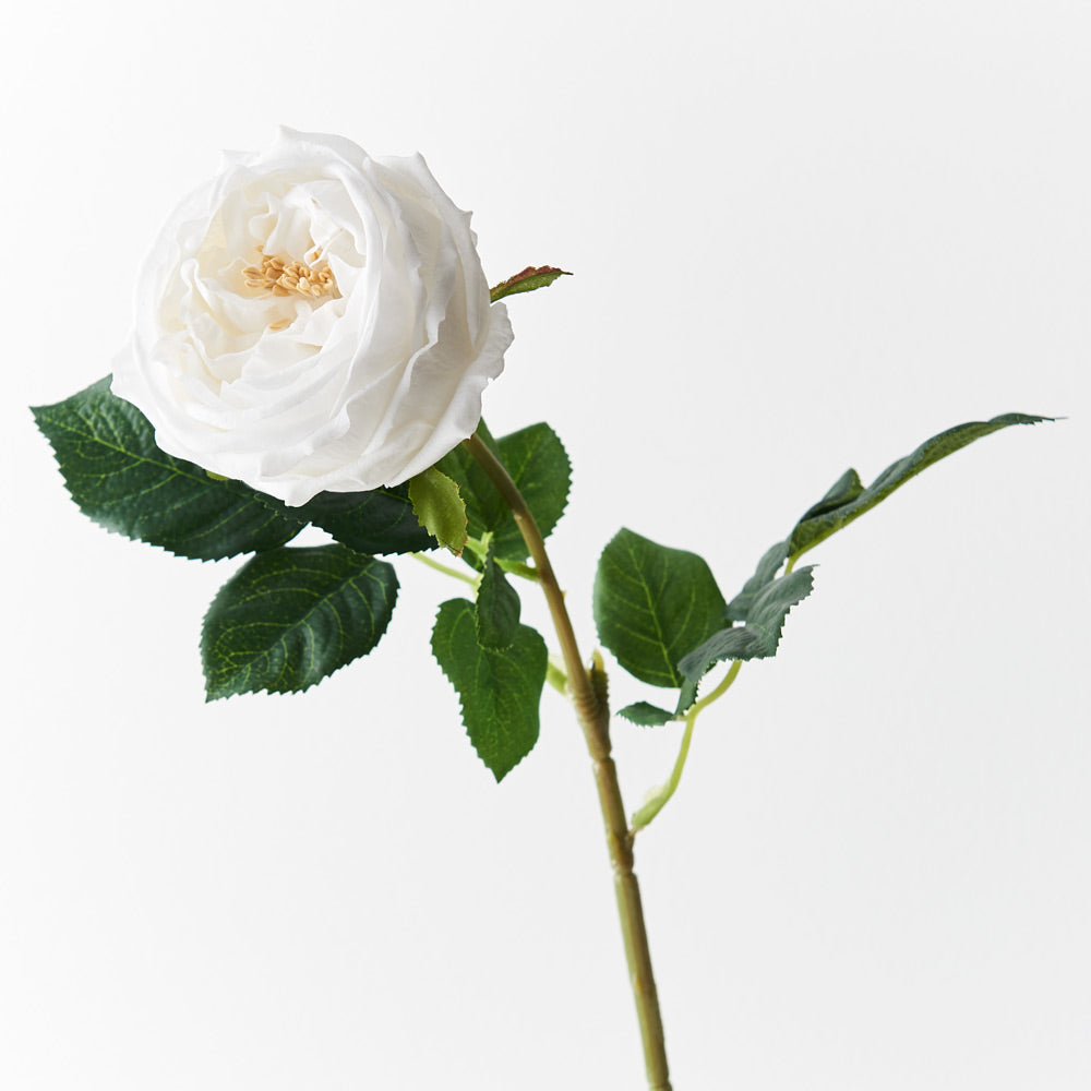 Austin Rose (Winter White) - Premium Artificial Flowers for Home Decor, Wedding Bouquets, and Floral Arrangements - Perfect for Centerpieces, Parties, and Seasonal Displays