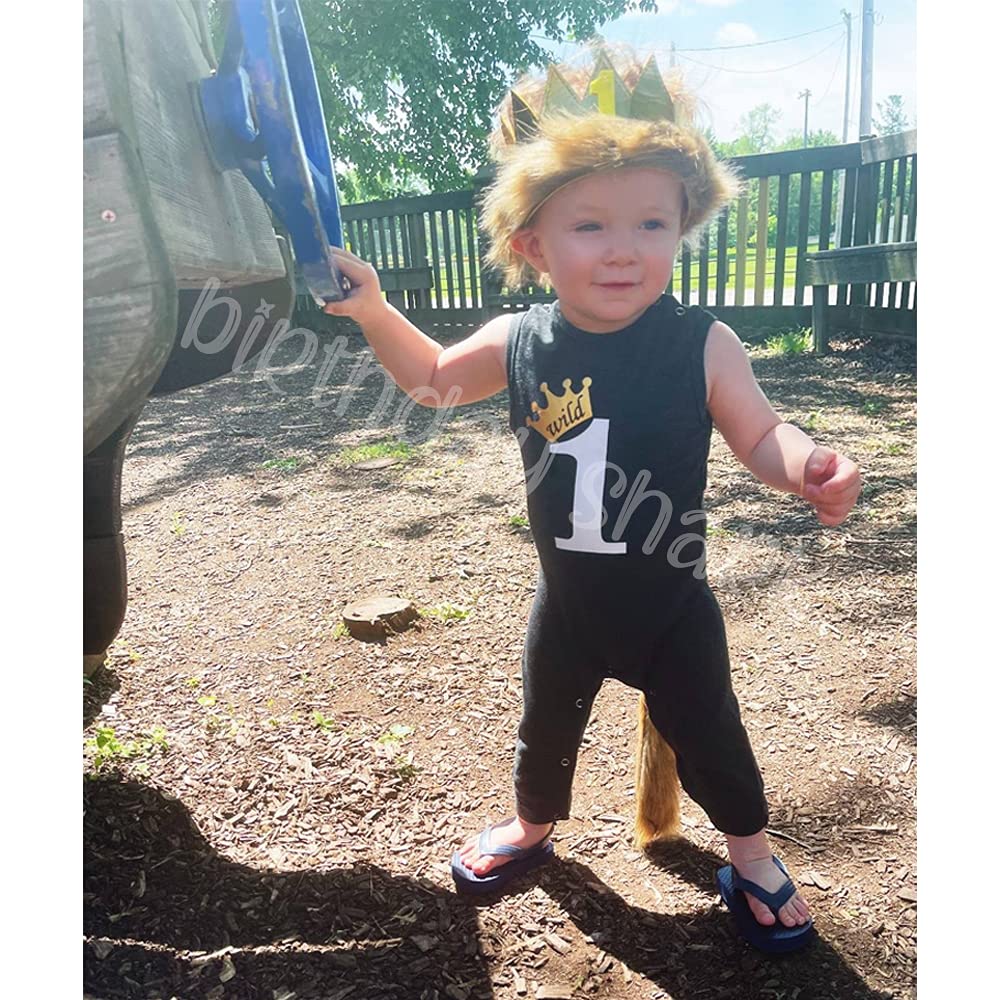 Wild One 1st Birthday Outfit for Baby Boys - Cute First Birthday Romper & Party Clothes | Perfect for Birthday Photos, Cake Smash, and Special Celebrations