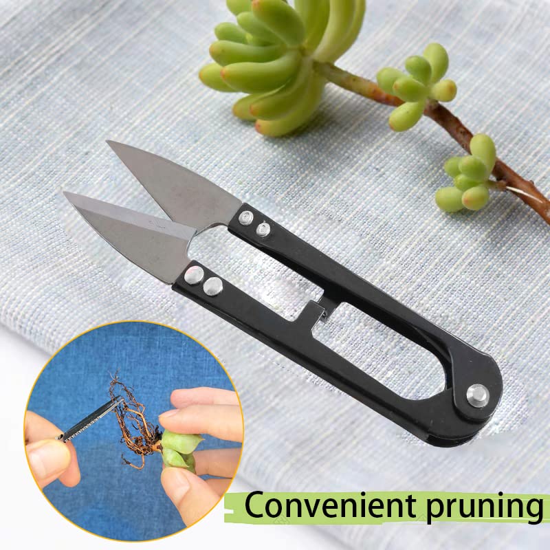 12 Pcs Succulent Tools Set - Mini Transplanting & Gardening Kit for Indoor Plants, Cactus Care, Flower Pot Maintenance - Perfect for Home Gardeners & DIY Plant Lovers