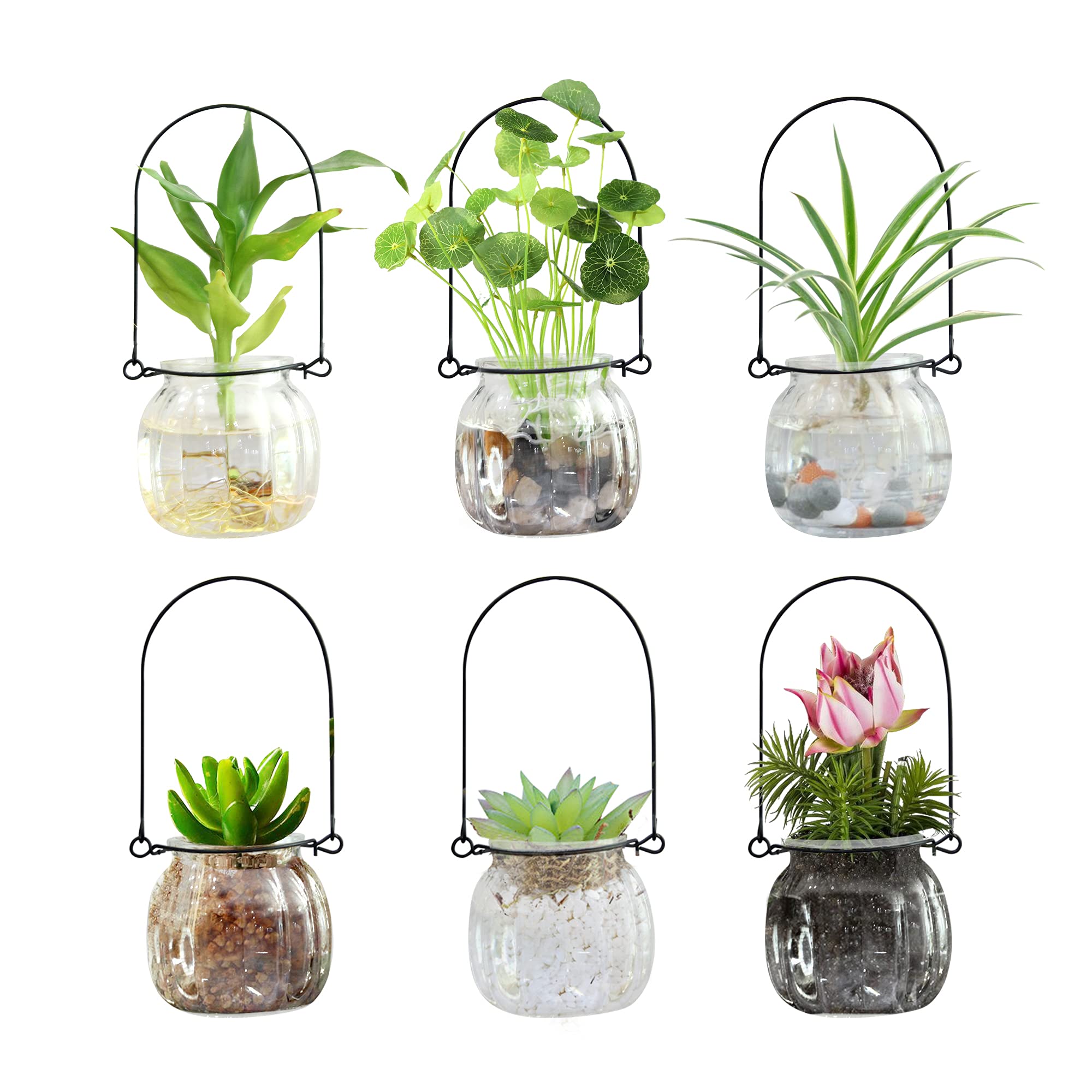 6 PCS Air Plant Terrarium Kit - Glass Hanging Vase for Succulents & Air Plants - Home Decor, Wall Hanging Glass Pots for Indoor Plants - Perfect for Living Room, Office & Gift Ideas