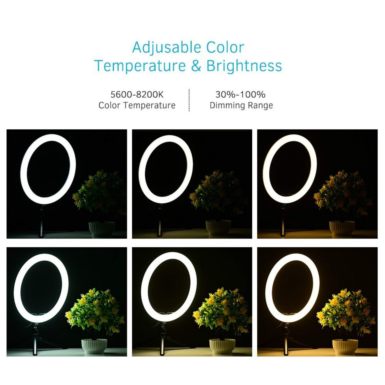 12inch LED Ring Light 5600-8200K with Tripod & Phone Stand - Perfect for Live Streaming & Photography