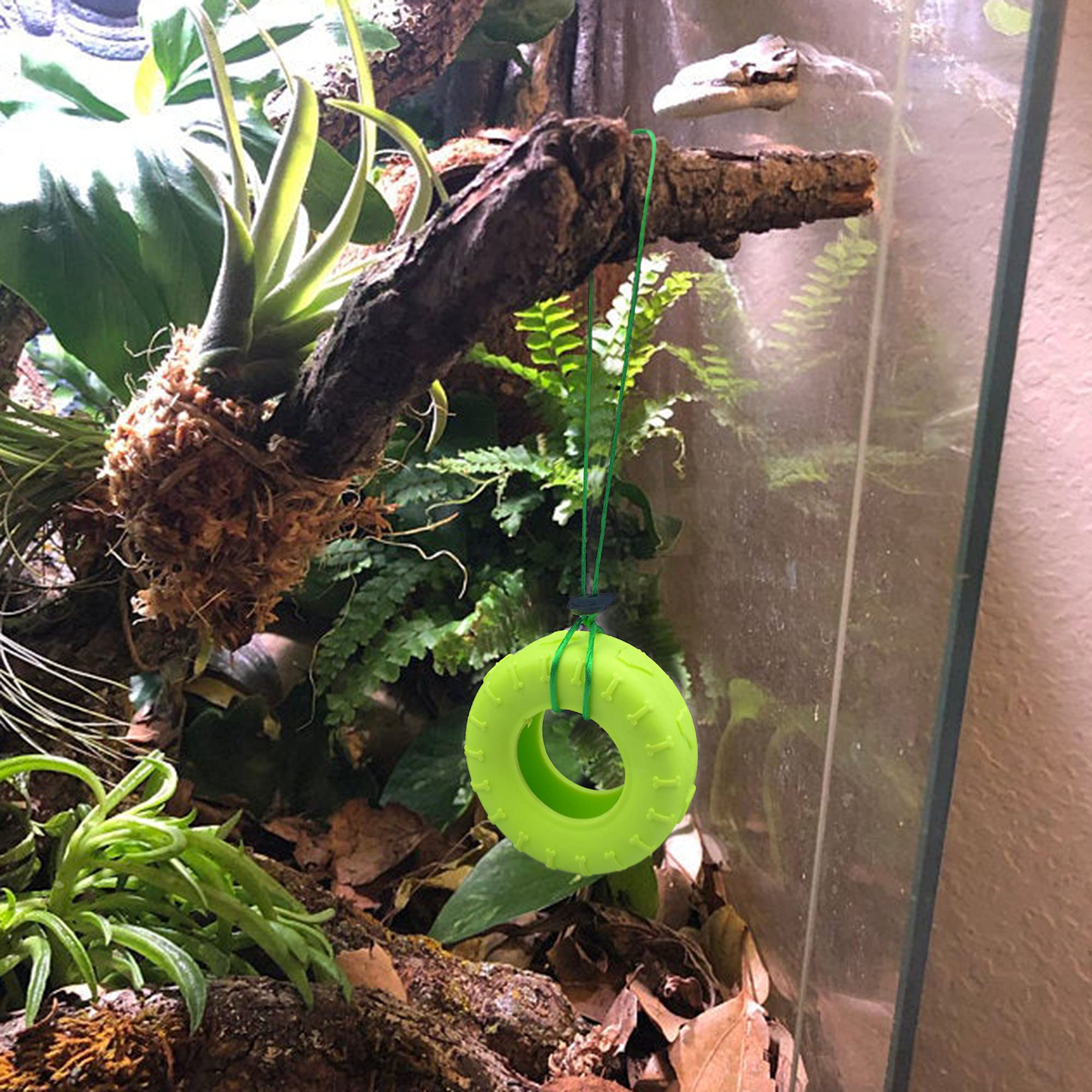 Miniature Tire Swing with Suction Cup Hook - Fun Climbing Toy for Tree Frogs, Reptiles & Amphibians - Perfect for Terrariums, Vivariums & Pet Habitats
