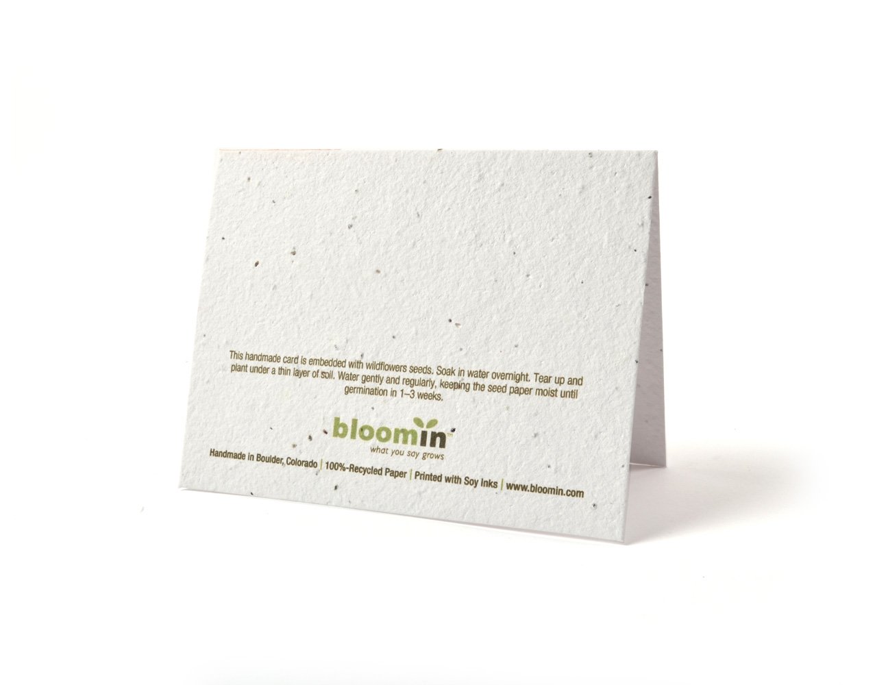 Bloomin Thanks A Bunch Cherry Blossom Seed Paper Greeting Cards - Eco-Friendly Plantable Cards (8 Pack) for Birthdays, Thank You Notes & Special Occasions