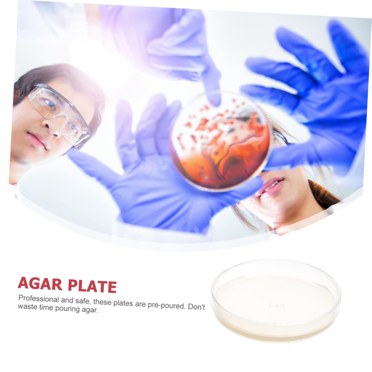 30 Pcs Nutrient Agar Petri Dishes for Mushroom Tissue Culture | Lab-Grade Agar Plates for Microbiology Experiments | Perfect for Classroom Labs, Home Science Kits & Kids STEM Projects
