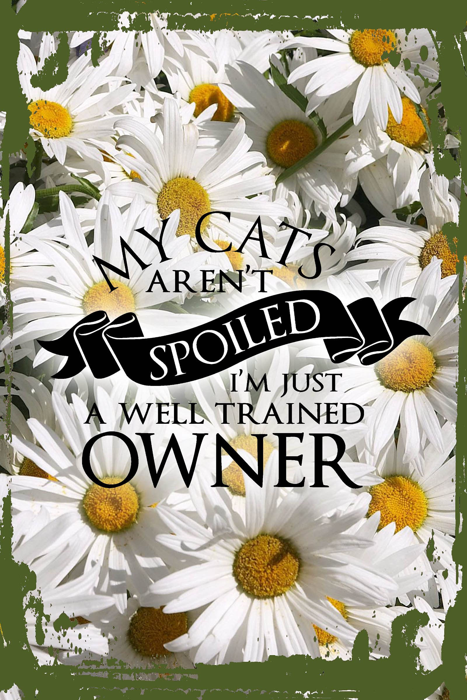 Funny Cat Lover Wall Decor - Daisy Flower & 'My Cats Aren't Spoiled' Banner - 8x12 Inch Hanging Wall Sign - Perfect for Pet Owners & Humor Gifts - Great for Living Room, Bedroom or Office Decor