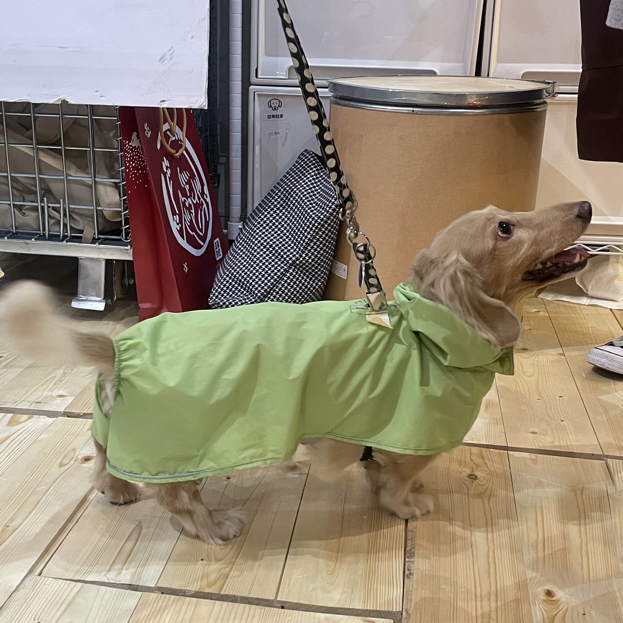 Waterproof Dog Raincoat with Hood for Dachshunds & Medium Dogs - Lightweight Ripstop Fabric, 3M Reflective Strips, Harness Hole & Storage Pouch - Perfect for Rainy Walks & Outdoor Adventures (Medium Size, Mango Yellow)