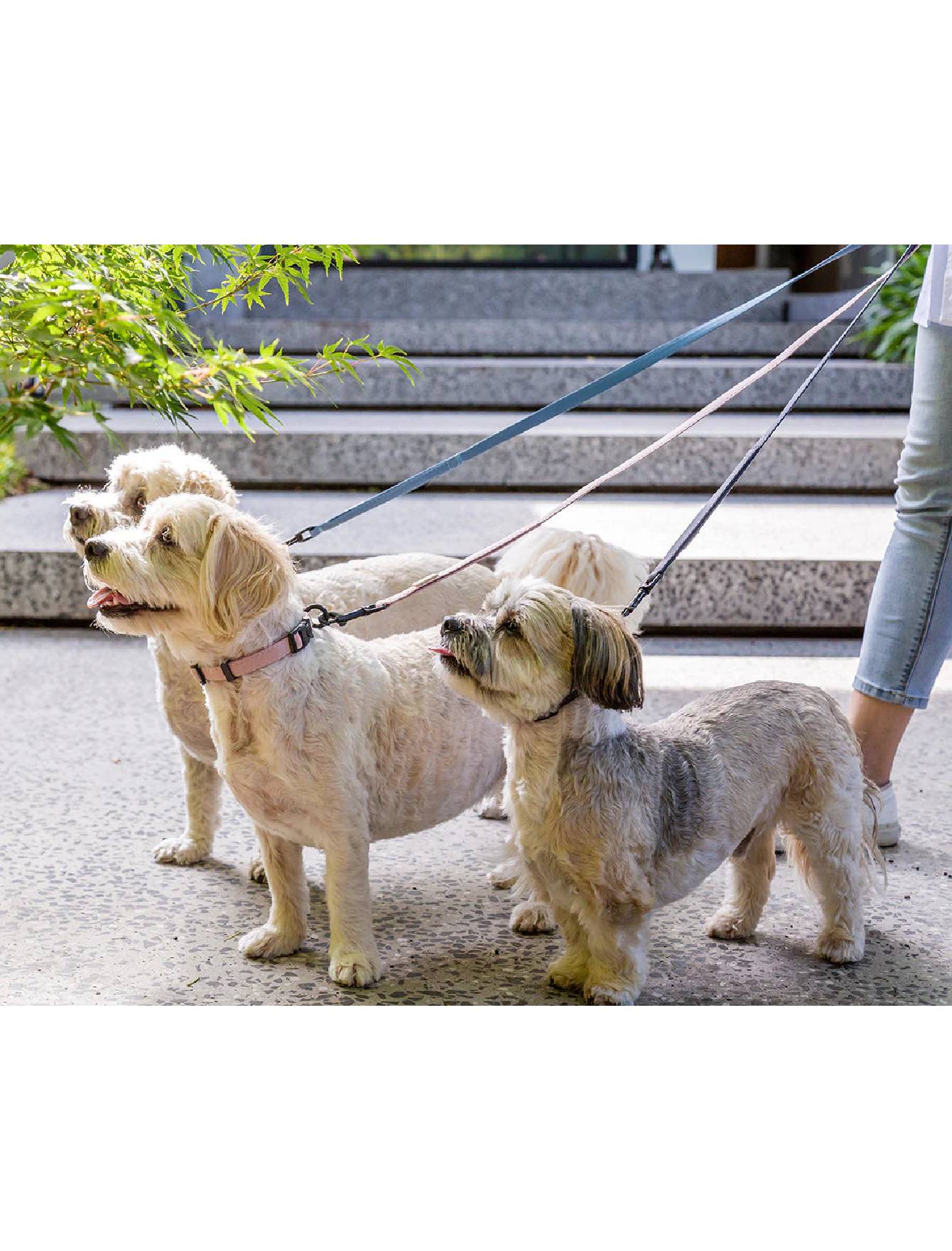 Premium FuzzYard Life Dog Leash - Myrtle Green, Durable & Comfortable for Small & Medium Dogs - Perfect for Walking, Training & Outdoor Adventures