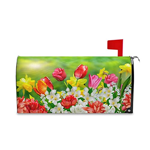 Tulips 1