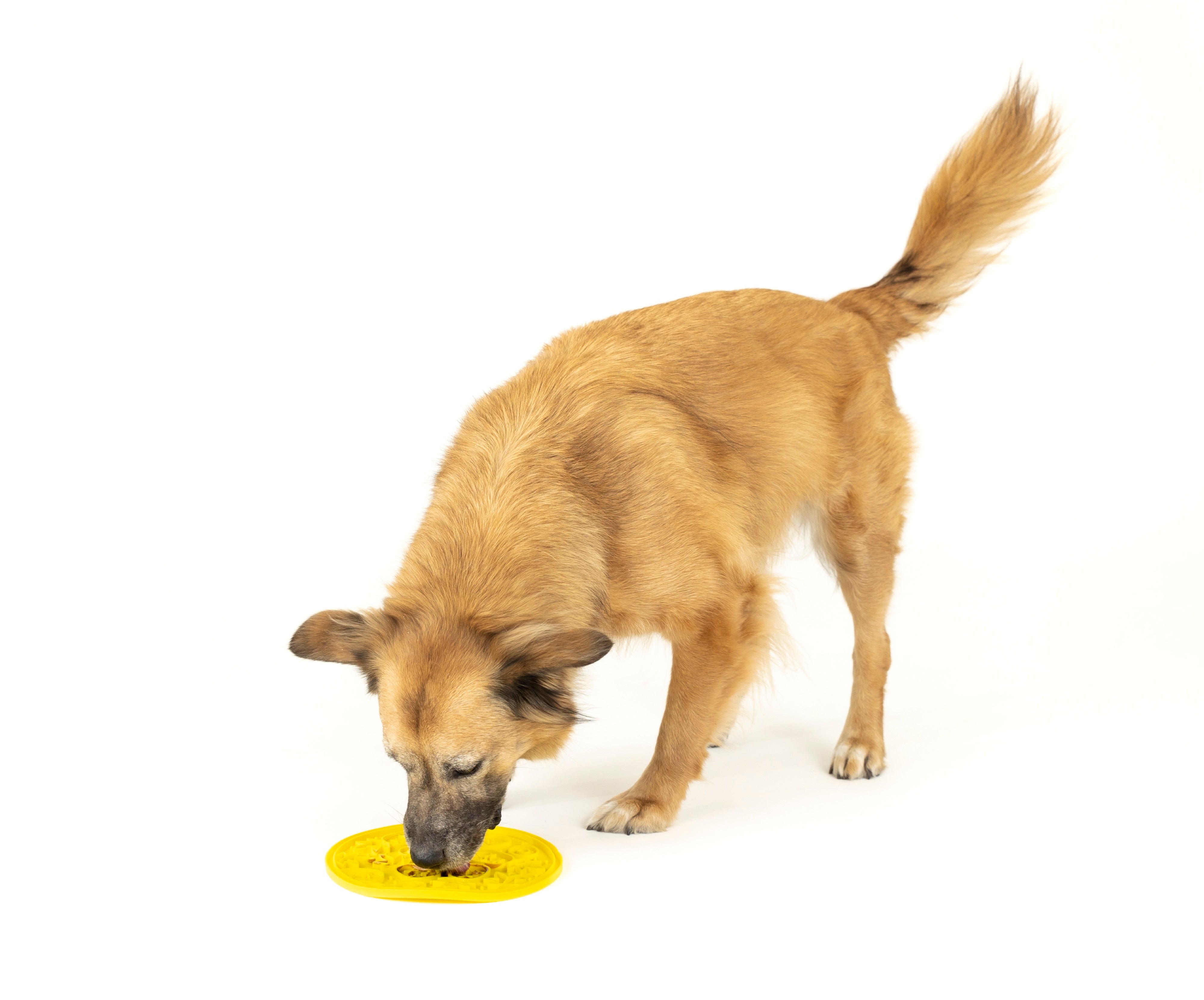 EverLick Slow Feeder Mat for Dogs and Cats - Avocado (Small) & Pineapple (Large) | Pet P.L.A.Y. - Interactive Puzzle Toy for Mealtime Fun & Mental Stimulation