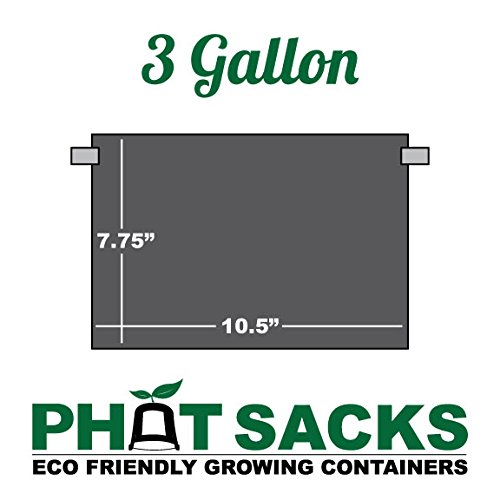HTG Supply 50-Pack 3-Gallon Fabric Grow Pots - Breathable Plant Containers for Indoor/Outdoor Gardening, Hydroponics & Seed Starting (50 Phat Sacks)
