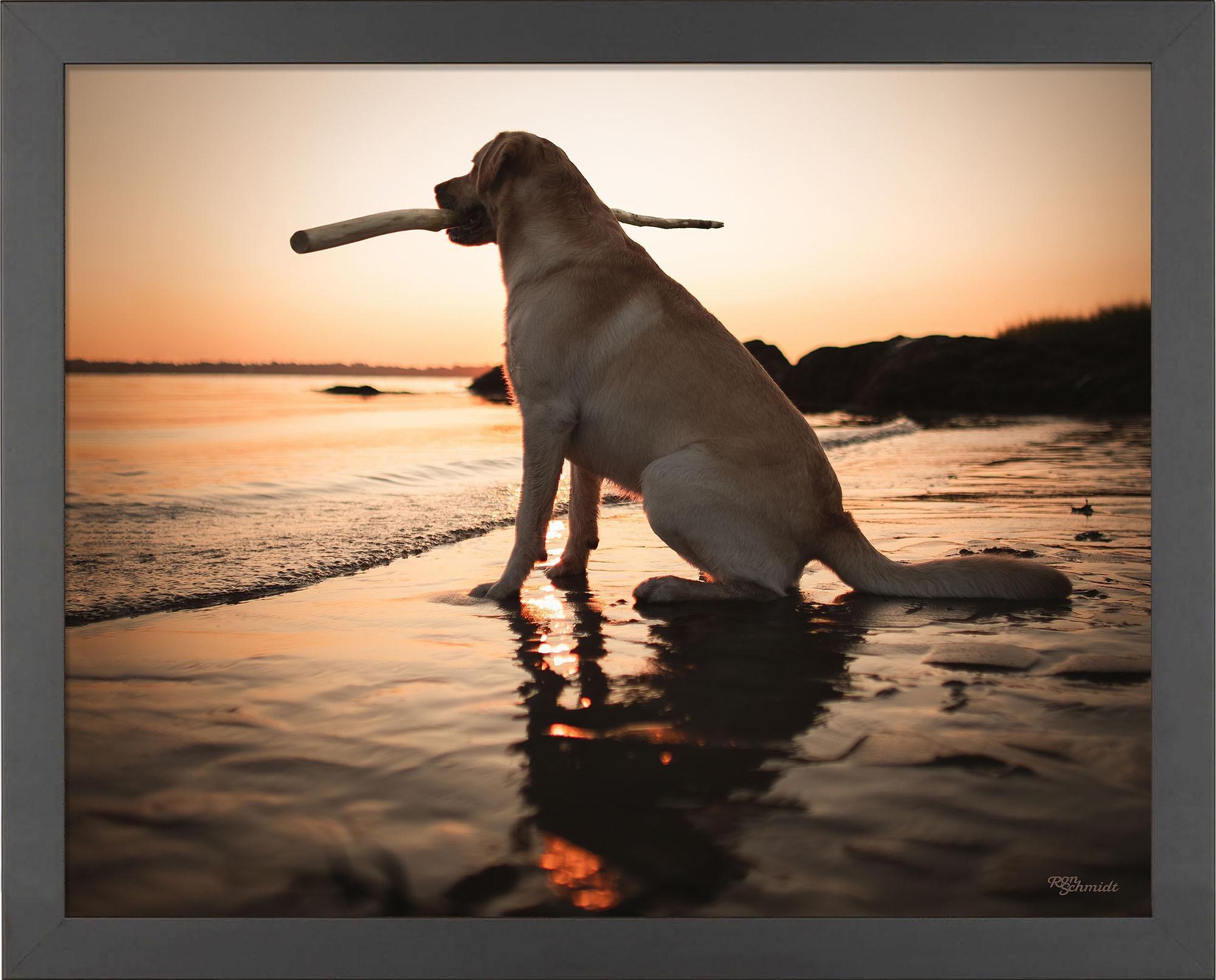 Dusk Art Prints - Stunning Sunset & Twilight Wall Decor for Living Room, Bedroom & Office | High-Quality Canvas & Framed Artwork