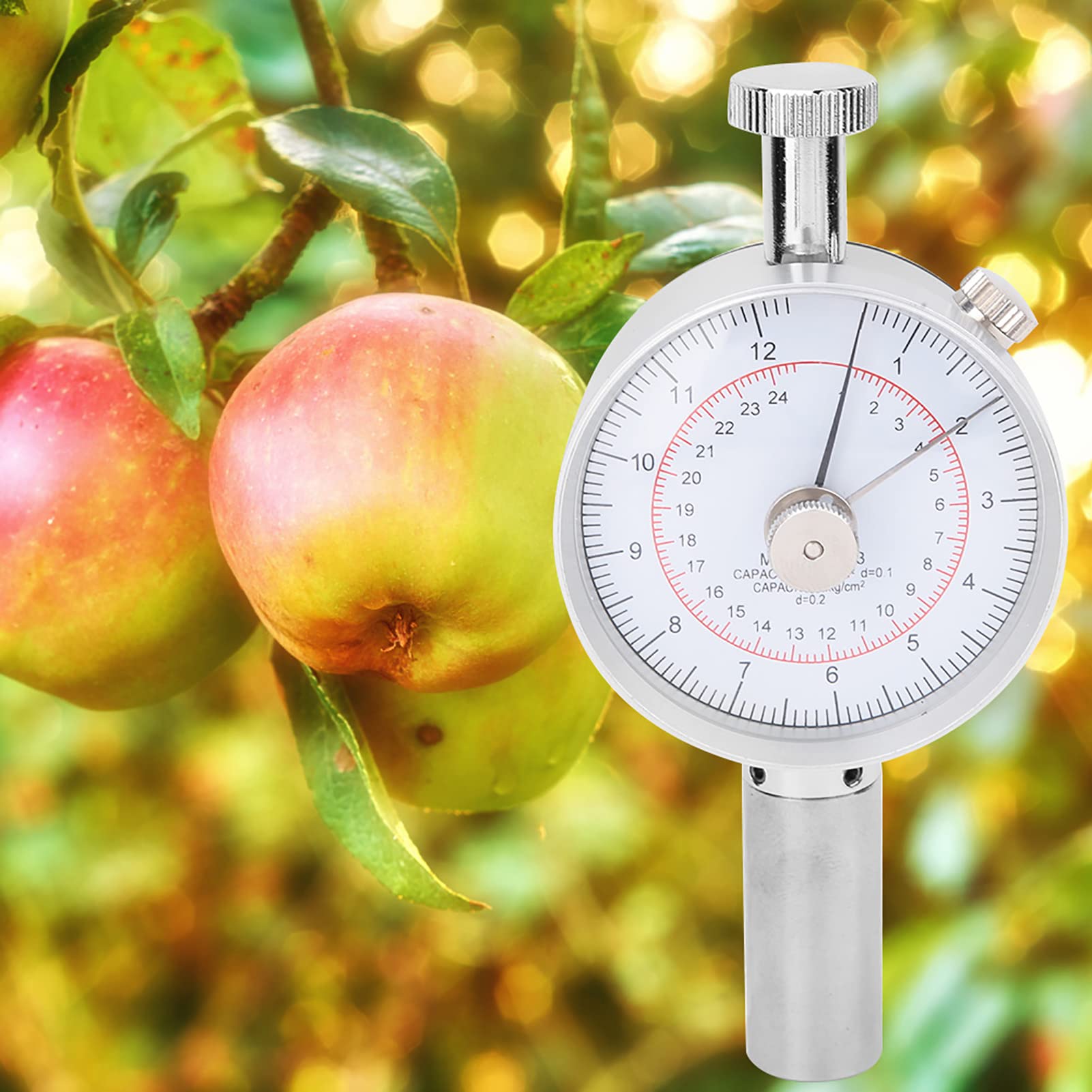 GY-03 Digital Fruit Hardness Tester - Professional Penetrometer with 2 Measuring Heads for Apples, Pears, Peaches | Accurate Ripeness Testing for Farmers, Grocers & Home Gardeners | Perfect for Orchards, Farmers Markets & Quality Control