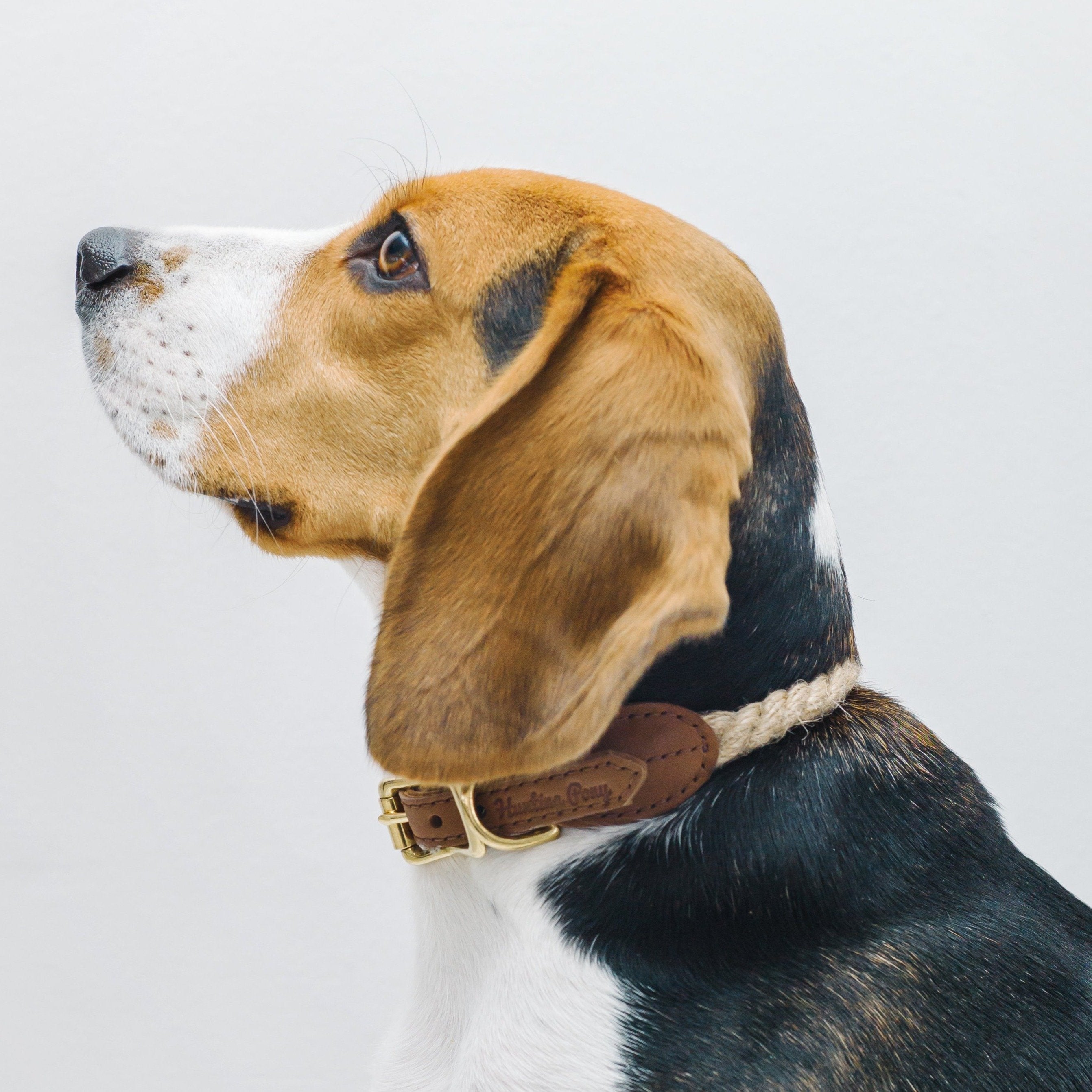 Premium Dog Collar with Country Pony Ginger Design - Durable Pet Collar for Small & Medium Dogs - Perfect for Daily Walks, Training & Outdoor Adventures