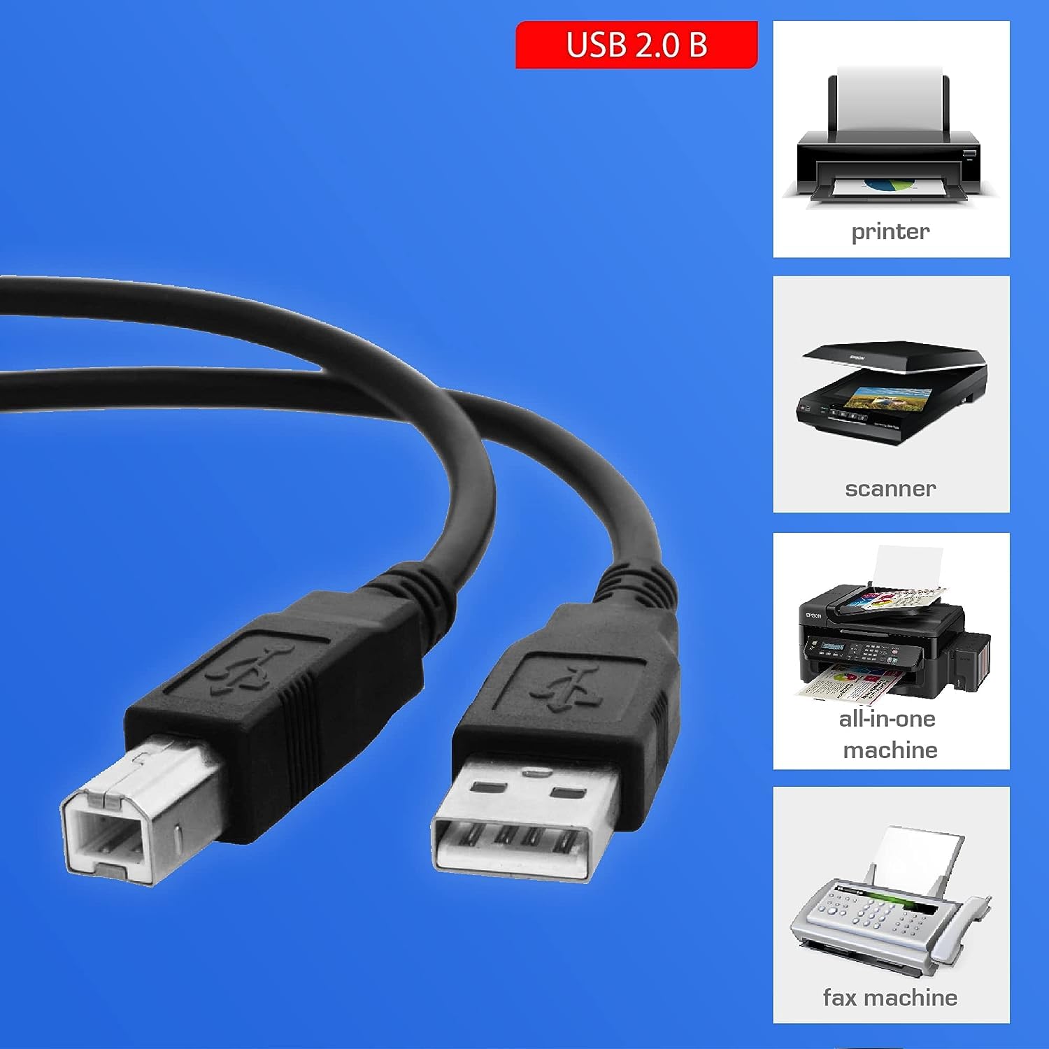 LIONX 10FT USB Printer Cable - High-Speed USB A to B Cord for HP, Canon, Epson, Brother Printers & Scanners - Durable Connectivity for Home Office & Small Business Printing Needs