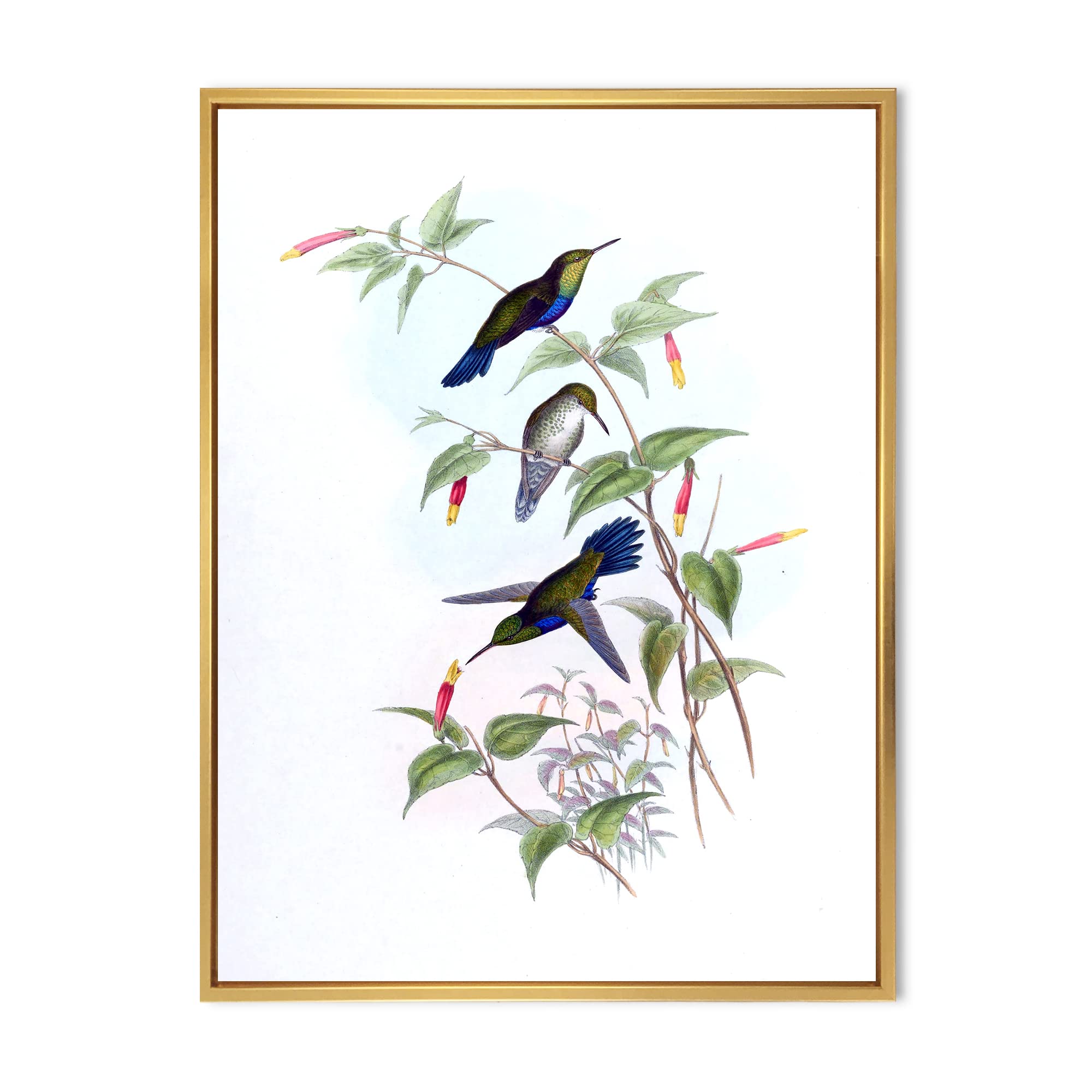 Vintage Hummingbird Canvas Wall Art - Traditional Framed Bird Painting Home Decor for Living Room, Bedroom & Office | Nature Inspired Gift Idea