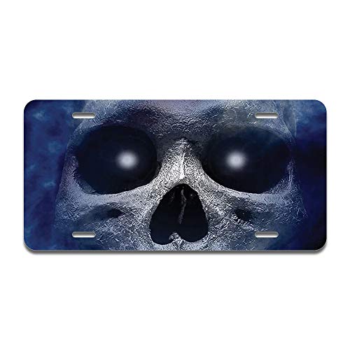 Haunted Skull