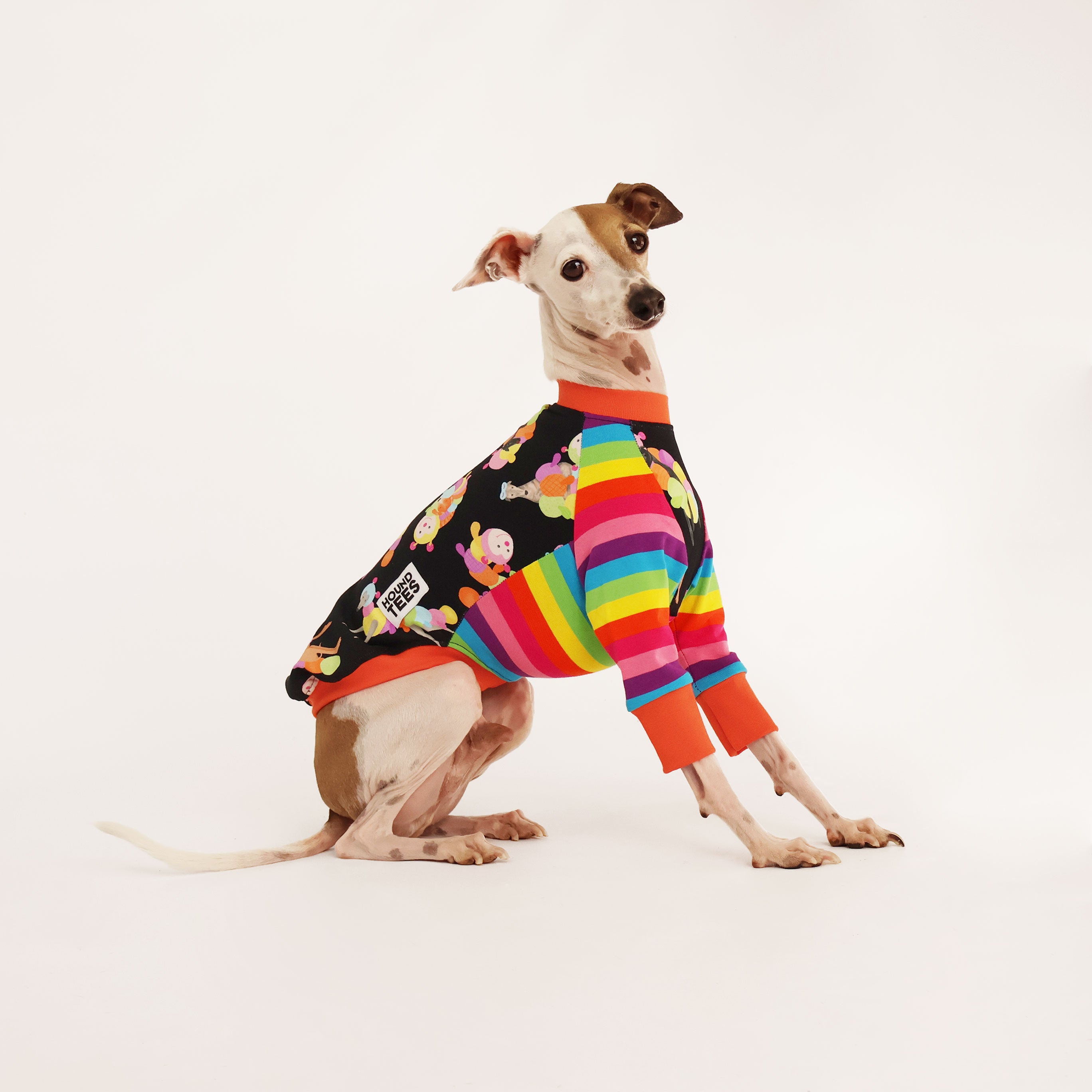 Italian Greyhound Long Sleeve Dog T-Shirt - Cuddlepillar Pet Apparel for Small Dogs - Perfect for Walks, Playdates & Photo Shoots