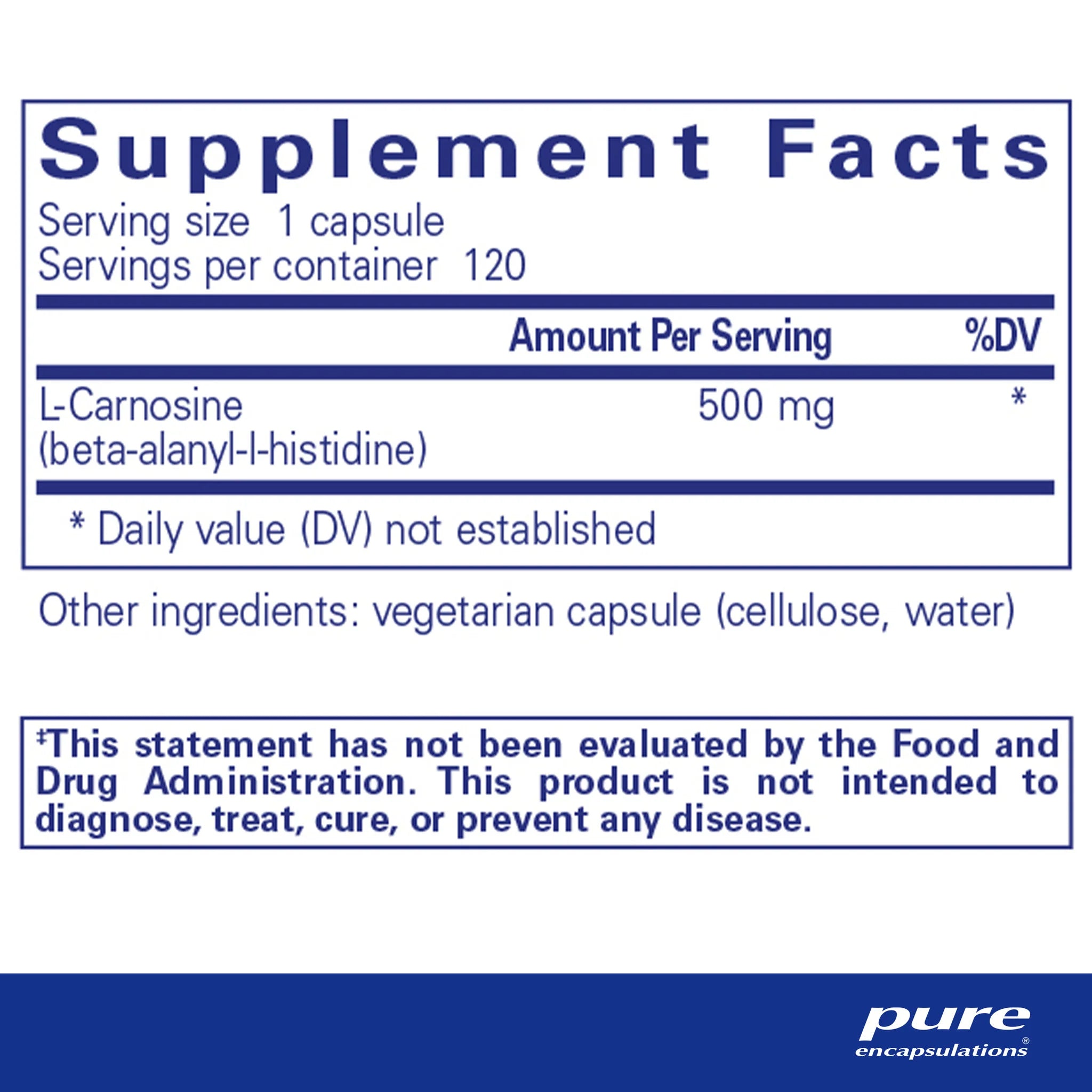 Pure L-Carnosine 60 Capsules - Anti-Aging & Brain Health Supplement for Adults - Supports Memory, Focus & Cellular Repair