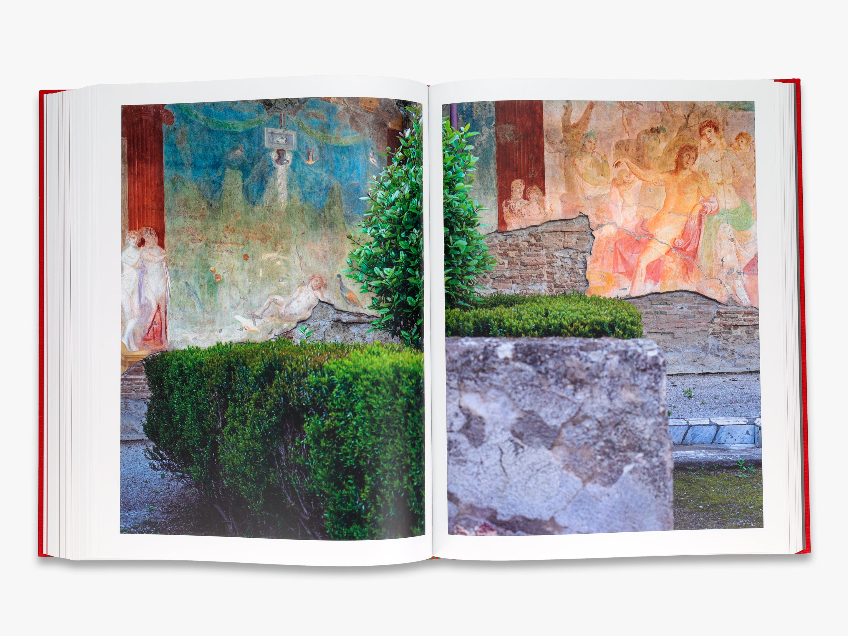 Inside Pompeii: A Financial Times Best Book of 2023 - Ancient Roman History & Archaeology Guide for Travelers and History Enthusiasts