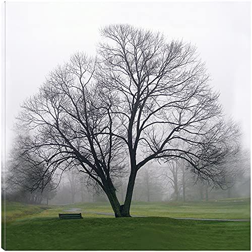 Tree Solo