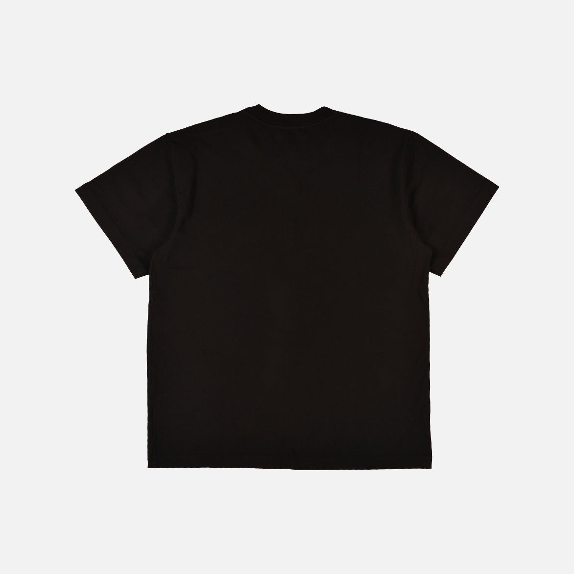Anti Expo Tee - Black | Unisex Graphic T-Shirt for Streetwear & Casual Outfits | Perfect for Concerts, Parties & Everyday Wear