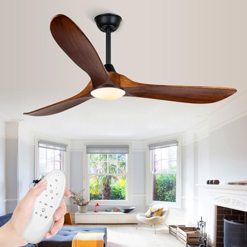 Ceiling Fan with Light