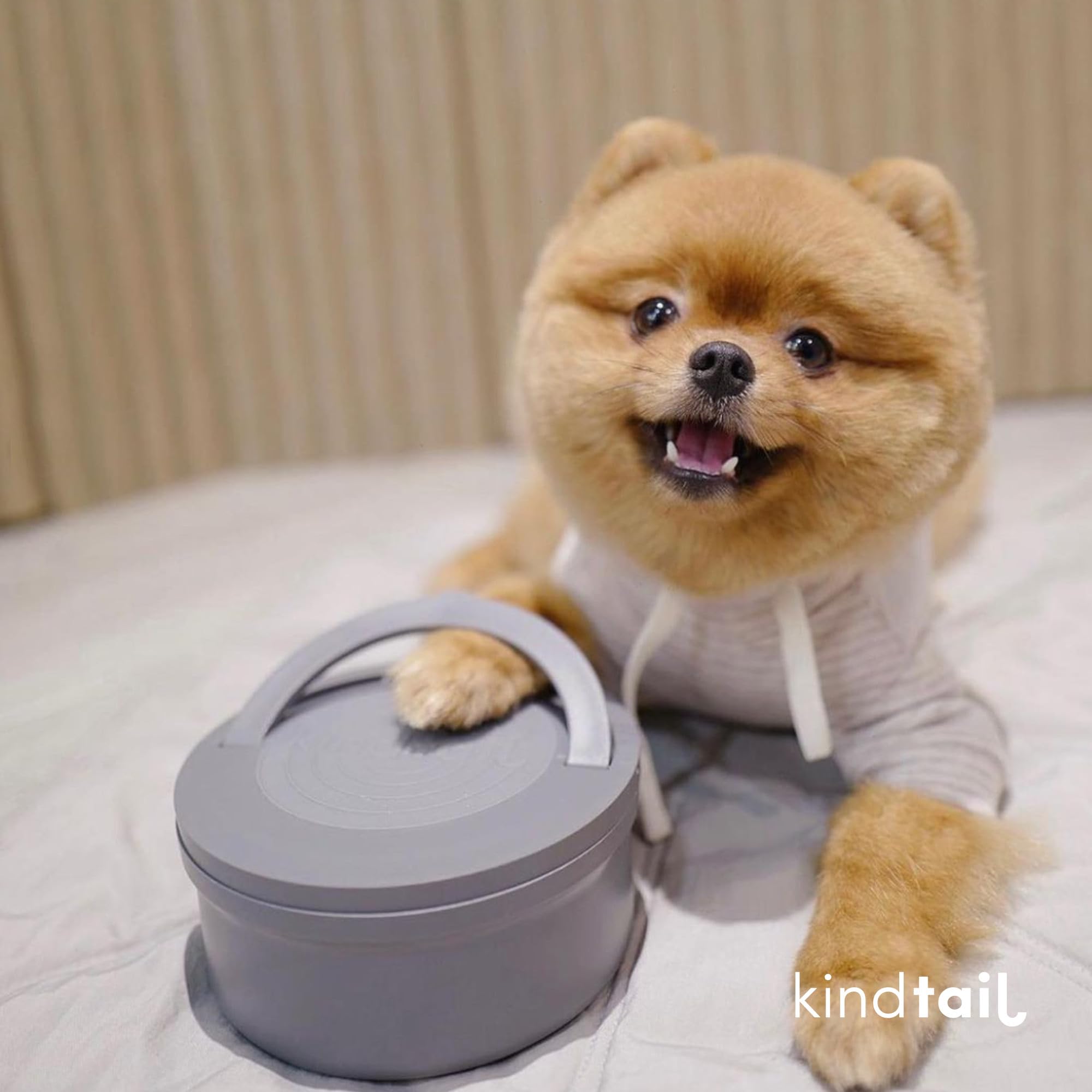 KindTail Portable Pet Feeder - Travel Dog Bowls with Lid & Handle, Microwave & Dishwasher Safe (10oz Inner & 20oz Outer Bowl) - Grey - Perfect for Hiking, Camping & Road Trips