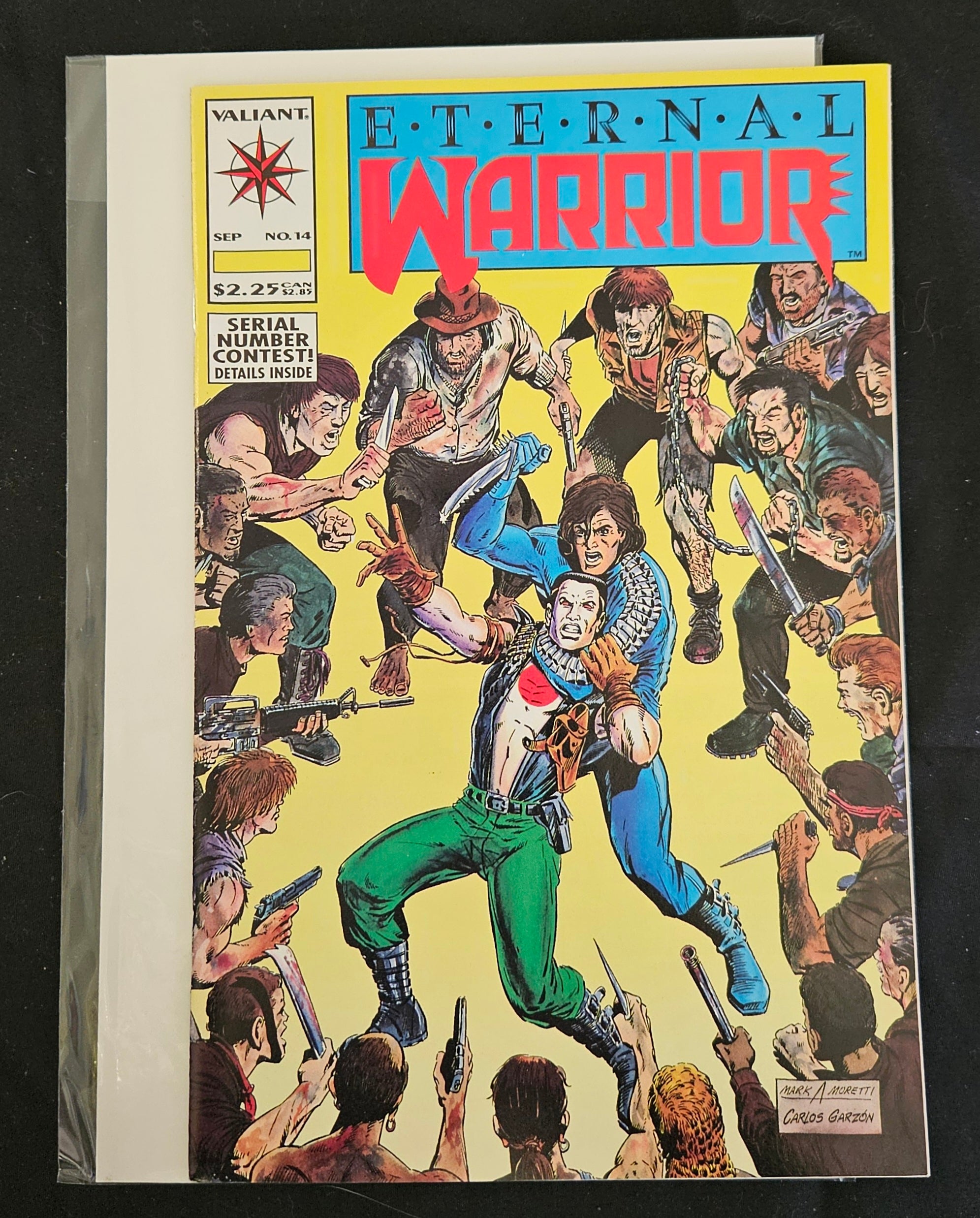 Valiant Eternal Warrior #14 (1993) Comic Book - Chaos Effect Prelude | Near Mint Condition | Collectible Superhero Comic for Fans & Investors | Perfect for Display, Gifts & Comic Collections