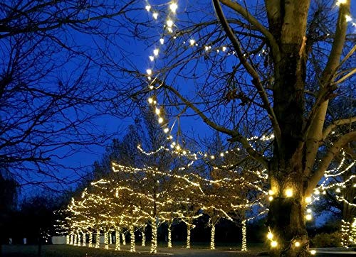 50 LED String Lights 11FT - Commercial Grade Outdoor Christmas Lights with 40,000 Hours Lifespan - Warm White Waterproof LED Bulbs for Patio, Garden, Wedding & Holiday Decorations