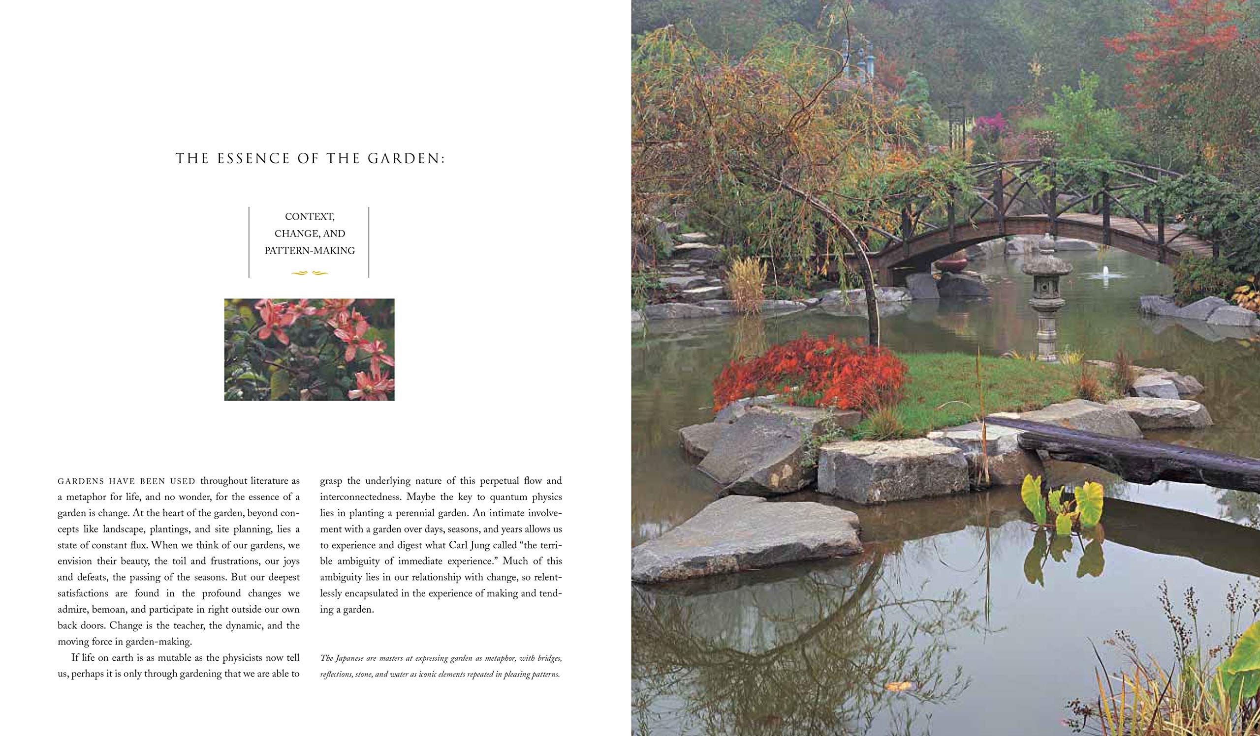 Pattern Garden: Essential Elements for Creating Beautiful Gardens | Perfect for Landscaping, Backyard Design & Outdoor Decor