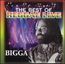 Best Reggae Live Music for Concerts & Parties