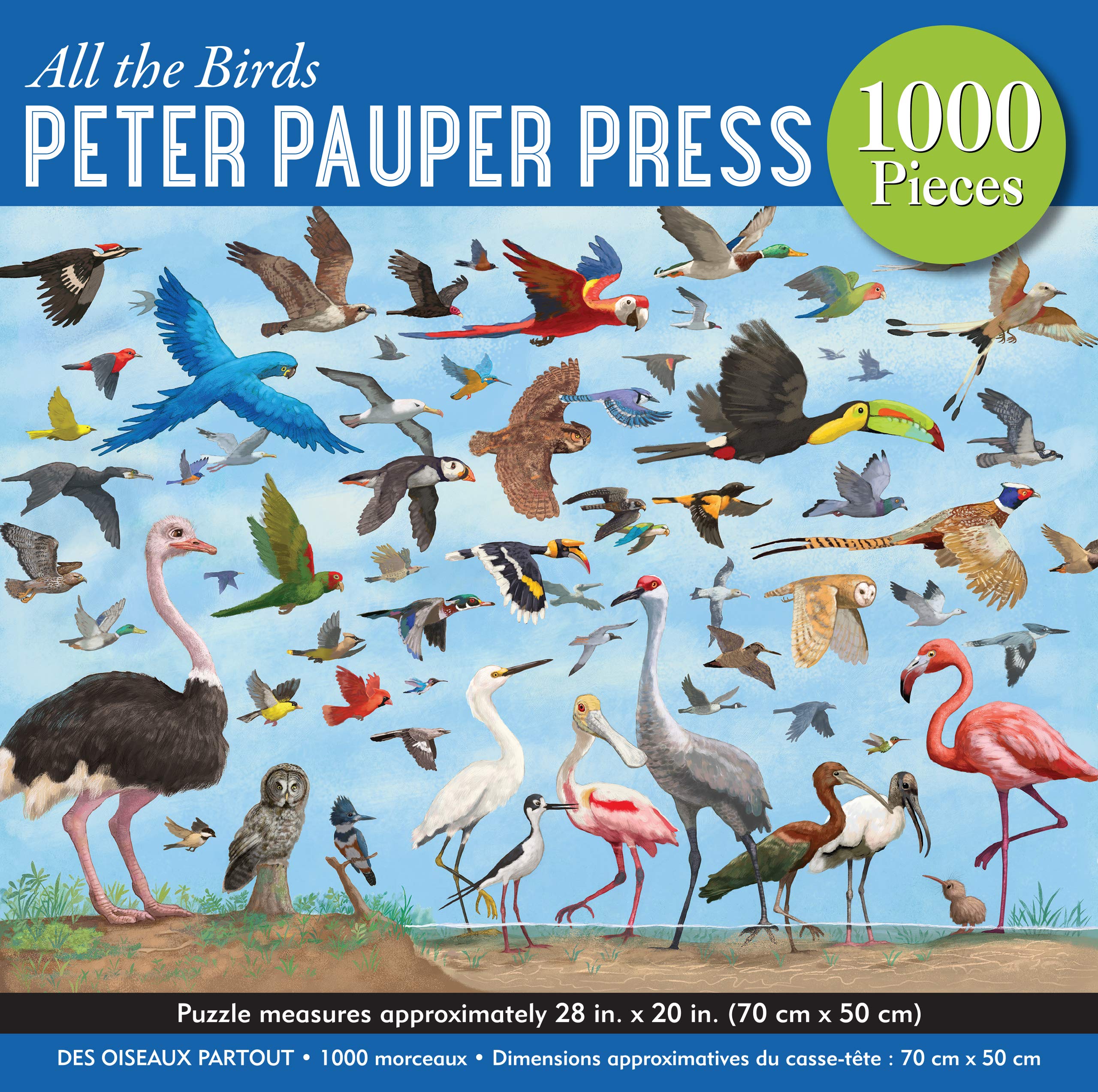 PETER PAUPER PRESS All The Birds 1000 Piece Jigsaw Puzzle - Colorful Bird Art Puzzle for Adults & Teens - Perfect for Family Game Night & Relaxation