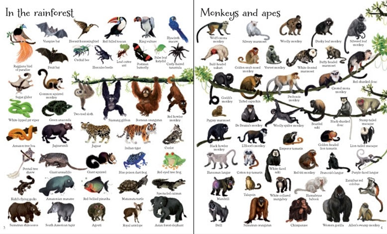 1000 Animals Hardcover Book by Usborne - Educational Wildlife Encyclopedia for Kids, Perfect for Homeschooling & Classroom Learning