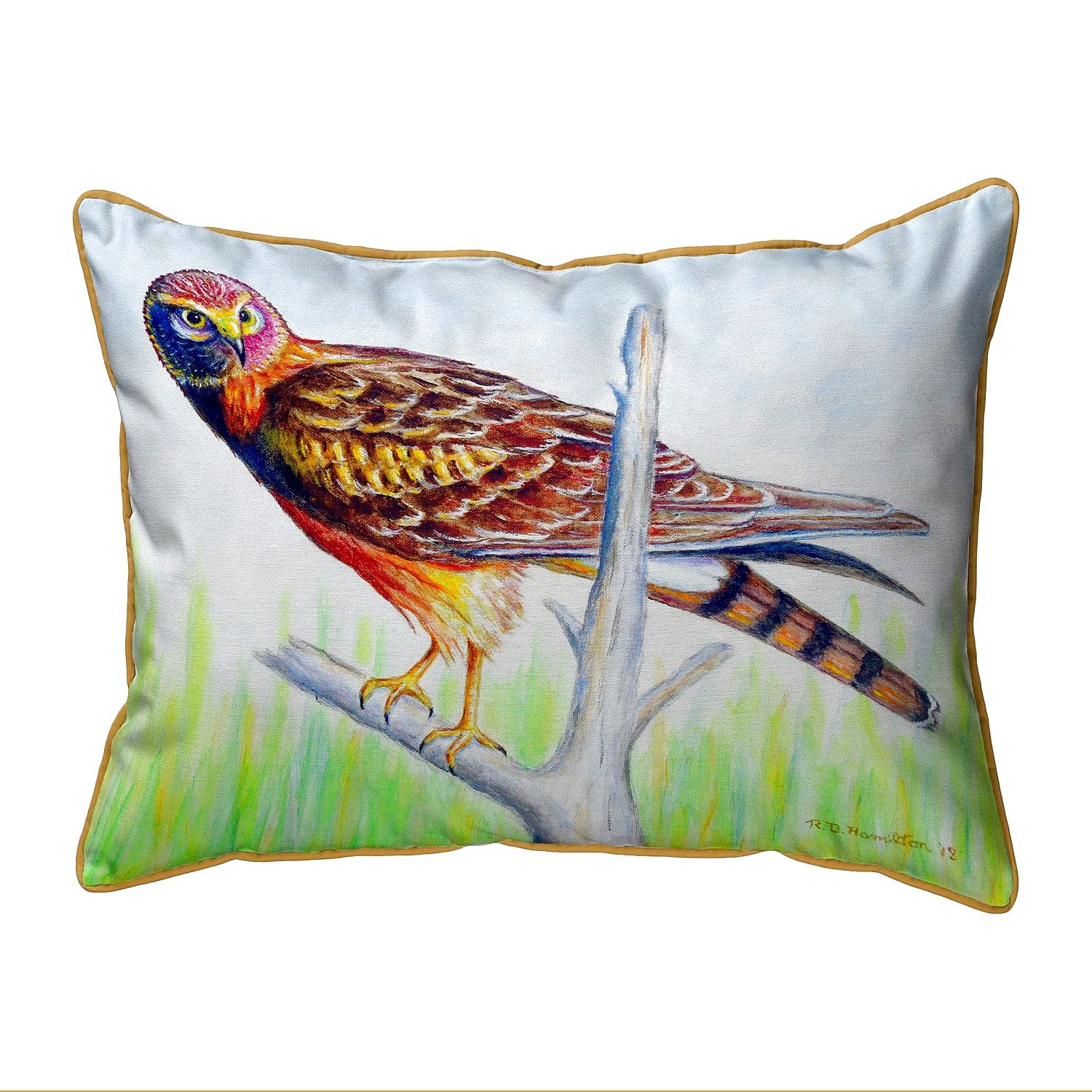 Betsy Drake HJ1034 Decorative Throw Pillow 16x20 Inches - Soft Multi-Color Cushion for Sofa, Bed, Living Room & Home Decor
