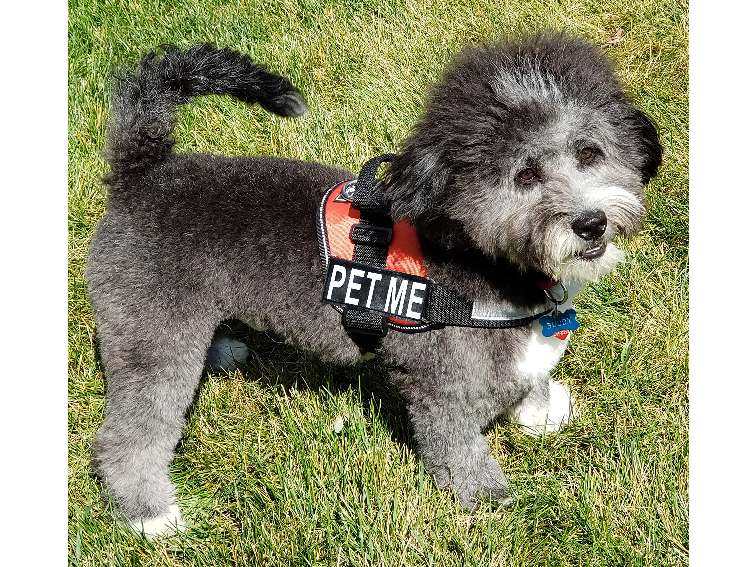 Doggie Stylz Adjustable Dog Harness with Removable Patches & Reflective Trim - Includes 2 PET ME Hook & Loop Patches (19