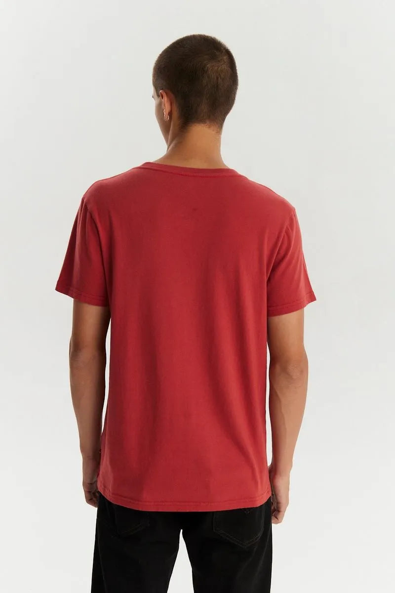 Levi's Graphic T-Shirt for Men - Big Bear Print with Set-In Neck - Casual Wear for Everyday & Street Style Outfits