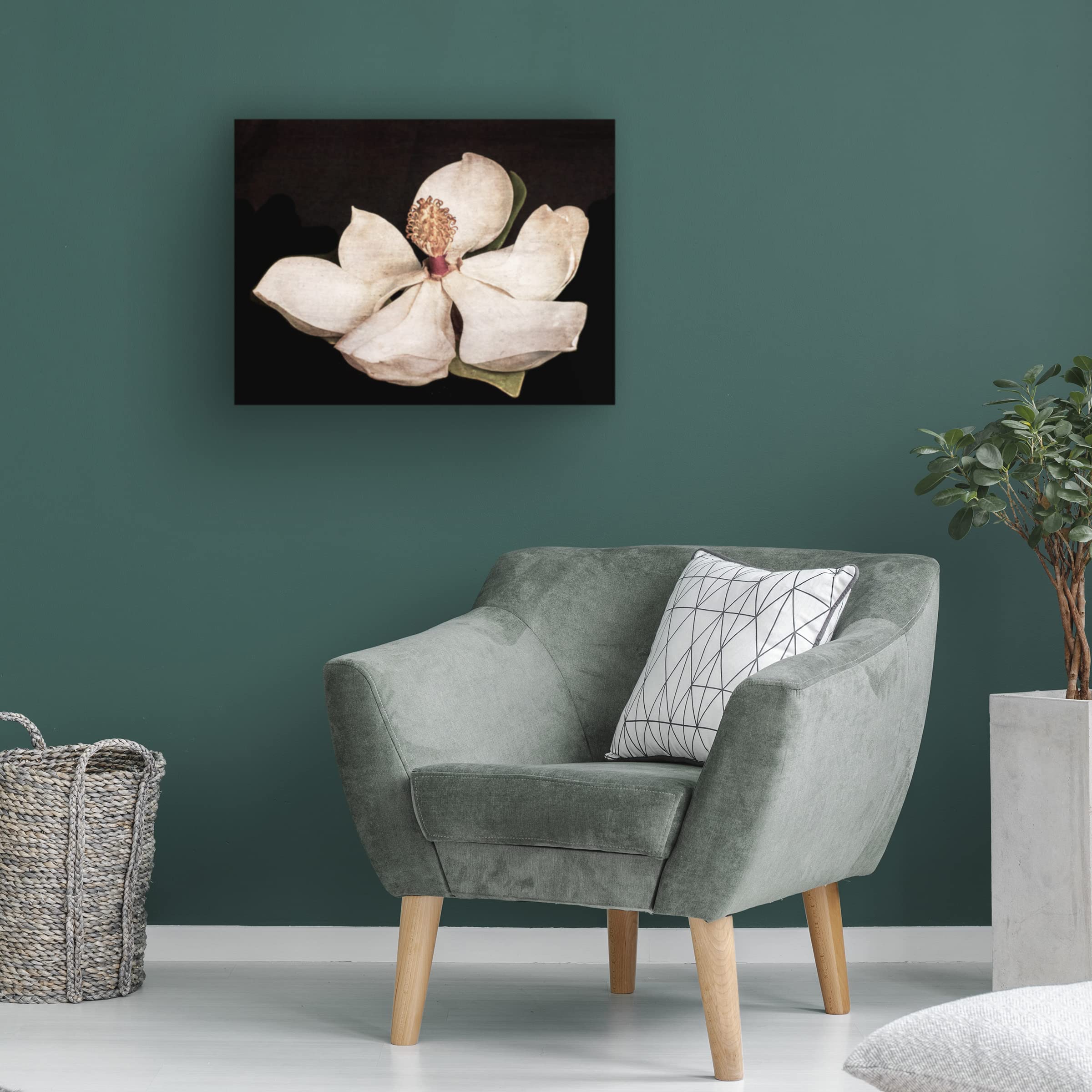 Trademark Fine Art 'Magnolia 2' Floral Canvas Wall Art by Lori Hutchison - Perfect for Living Room, Bedroom & Office Decor