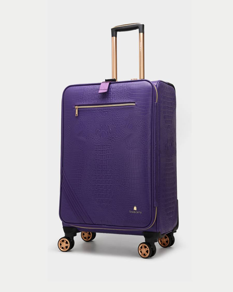 Apollo 2-Piece Luggage Set - 20