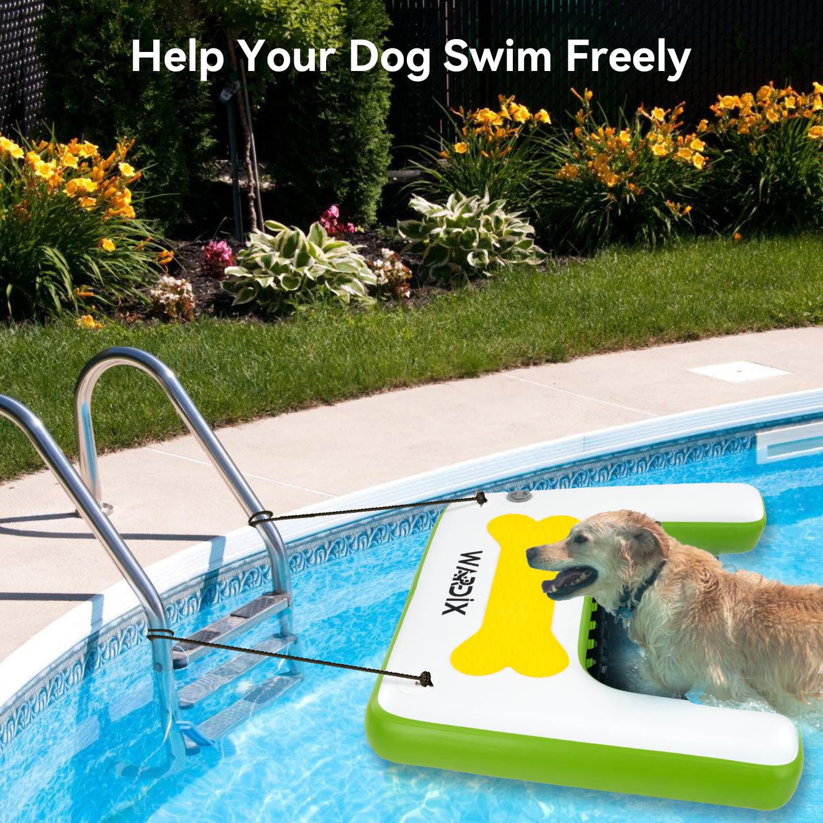 Dog Pool Ramp - 47.2\