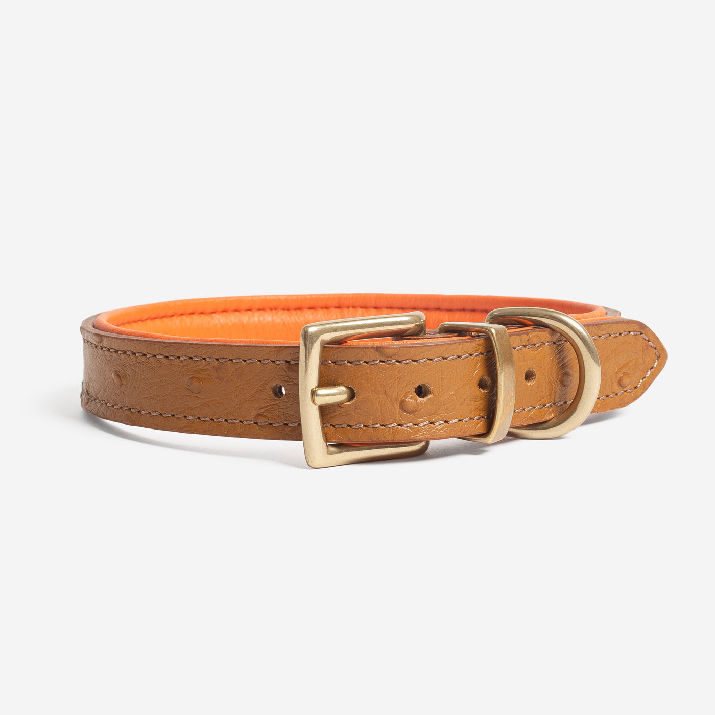 Premium Ostrich Leather Dog Collar - Tan & Orange - Handcrafted Luxury Pet Accessory by Lords & Labradors - Perfect for Daily Walks, Training & Stylish Outings