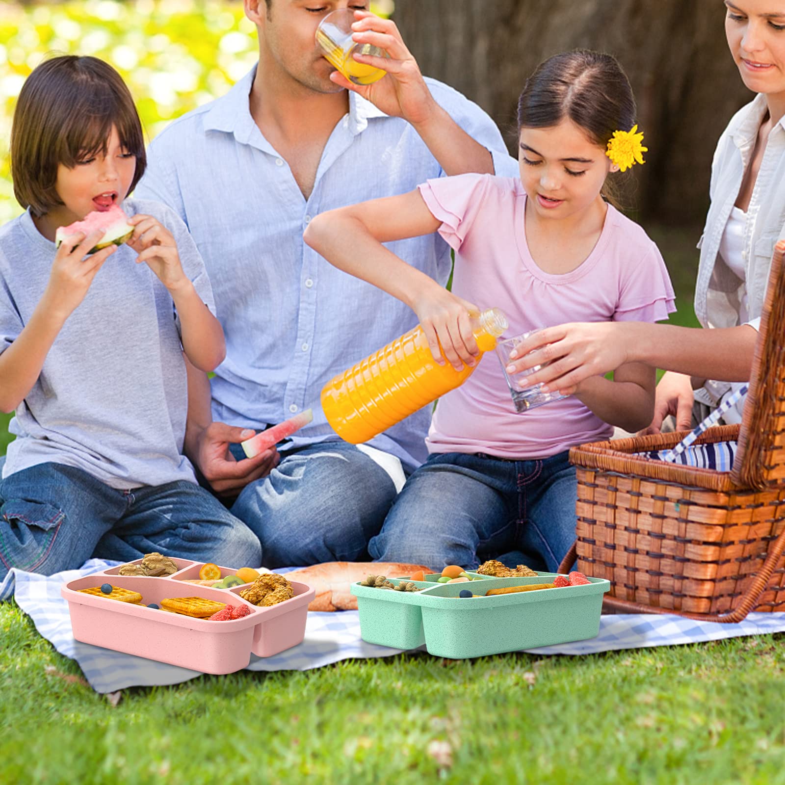 4-Pack Kids Bento Lunch Box with 4 Compartments & Transparent Cover - Freezer & Dishwasher Safe Reusable Food Storage Containers for Adults & Children - Perfect for School, Work, Travel & Meal Prep