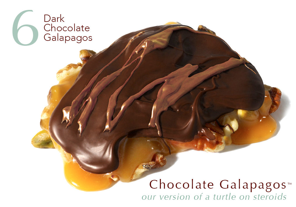 Premium Dark Chocolate Galapagos Turtles - 6-Piece Gourmet Gift Box | Perfect for Holidays, Birthdays & Corporate Gifts